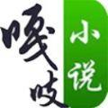 嘎吱小说appv1.1.5