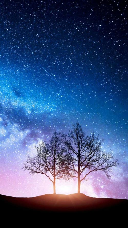 各个星座的蚊子: