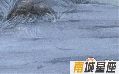十二星座