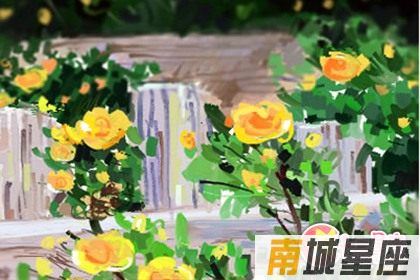 星座排行
