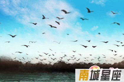 十二星座中，财运最好的星座有哪些