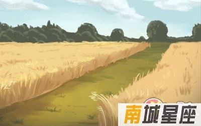 365日生辰石查询