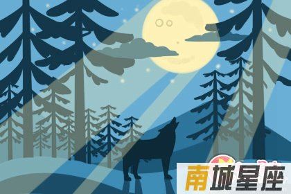 十二星座