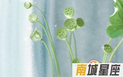 星座
