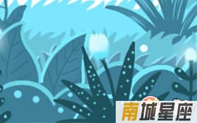 星座