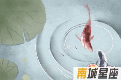 十二星座
