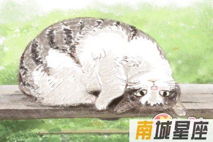 十二星座