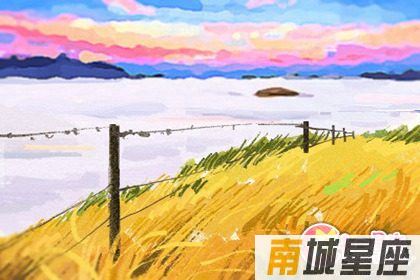 十二星座