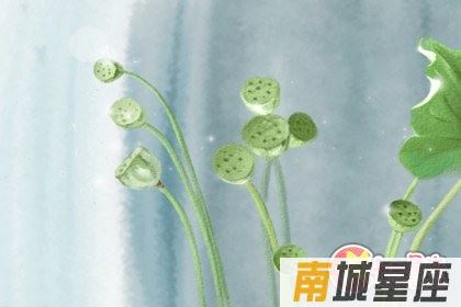 十二星座