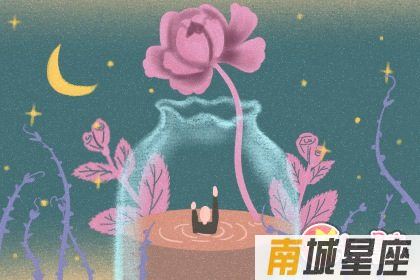 十二星座