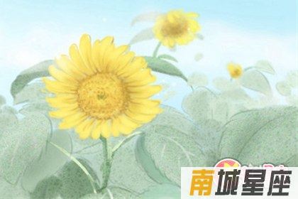 白羊座