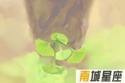 365生辰石查询：水晶