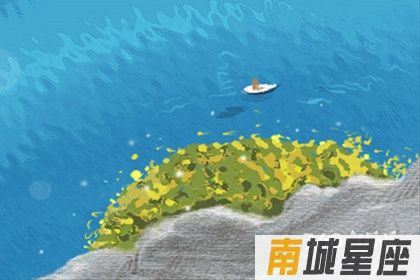 365日生辰石差查询：珊瑚石