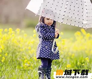 好运起名v1.0.0