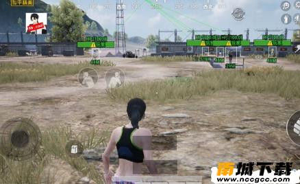 和平精英华府绘制辅助v1.0.0