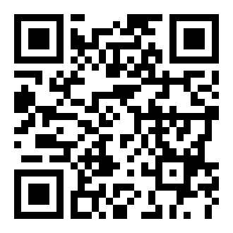 疯狂的圣安地列斯2中文版