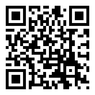 闲去刷极速版app