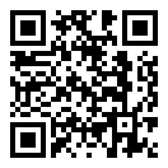 byx狸过检测辅助