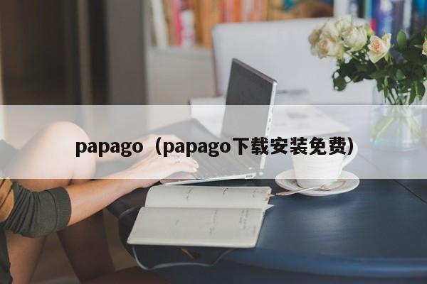 papago（papago下载安装免费）