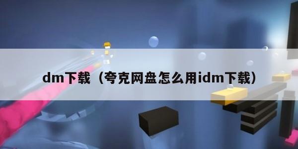 dm下载（夸克网盘怎么用idm下载）