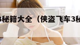 侠盗飞车3秘籍大全（侠盗飞车3秘籍大全手机版）