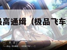 极品飞车:最高通缉（极品飞车最高通缉2015）