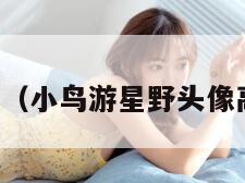 小鸟游戏（小鸟游星野头像高清图片）