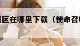 使命召唤战区在哪里下载（使命召唤战区去哪下载）