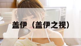 盖伊（盖伊之视）