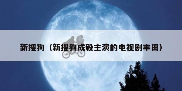 新搜狗（新搜狗成毅主演的电视剧丰田）