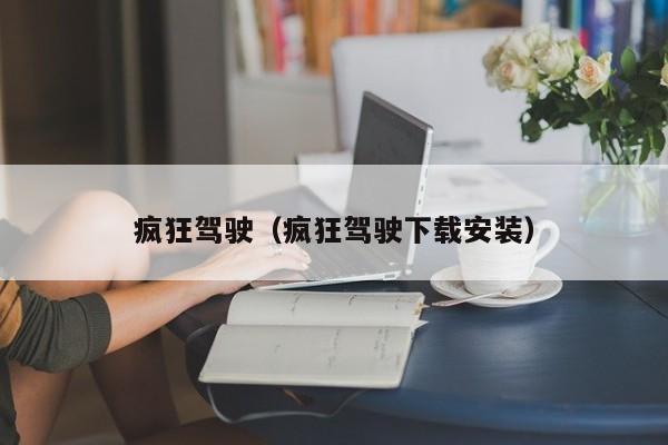 疯狂驾驶（疯狂驾驶下载安装）