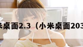小米桌面2.3（小米桌面20377）