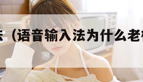 语音输入法（语音输入法为什么老检测不到声音）