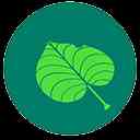叶子视界APP