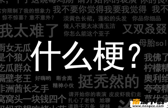 抖音亲爱的周游什么意思 亲爱的周游是谁[多图]图片1
