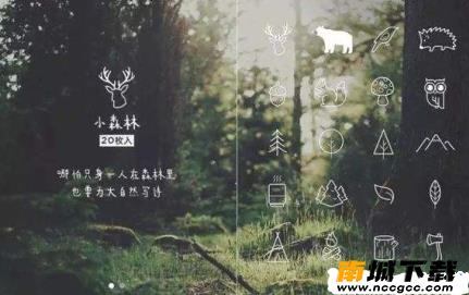 黄油相机v8.0.1.195