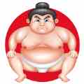 Yokozuna游戏安卓中文版v1.0