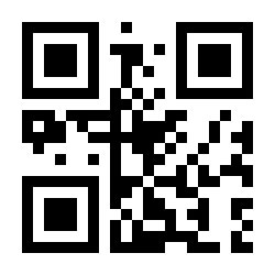 ​分身有术app