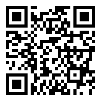 N先生与他的狗游戏