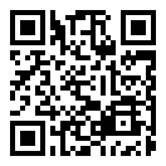 最后的忍者大战