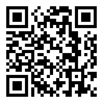 BusX高速公路中文版