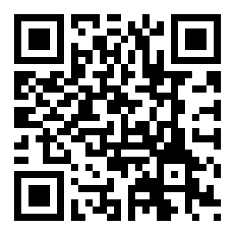 双子星之恋手游