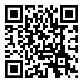 忍者之歌中文版