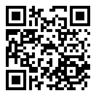 女侠小偷模拟器破解版