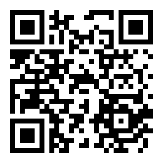 疯狂的猫女士破解版