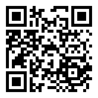 疯狂的猫女士破解版