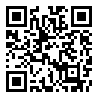 我的小猫在哪里