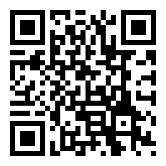 流行的警车运输游戏