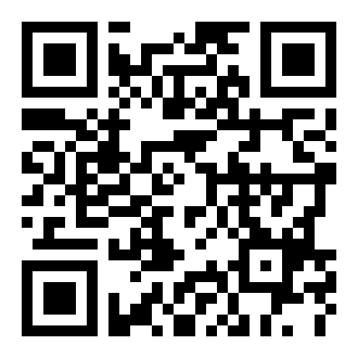 收养一只流浪的猫