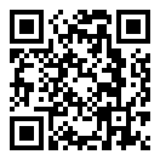 美丽的蝴蝶积木